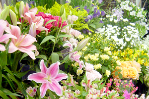 flower